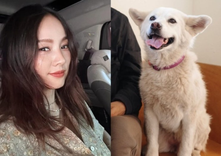 <b>이효리</b>, 반려견 ‘<b>석삼이</b>’와의 마지막 <b>이별</b>…오랜 동행의... 