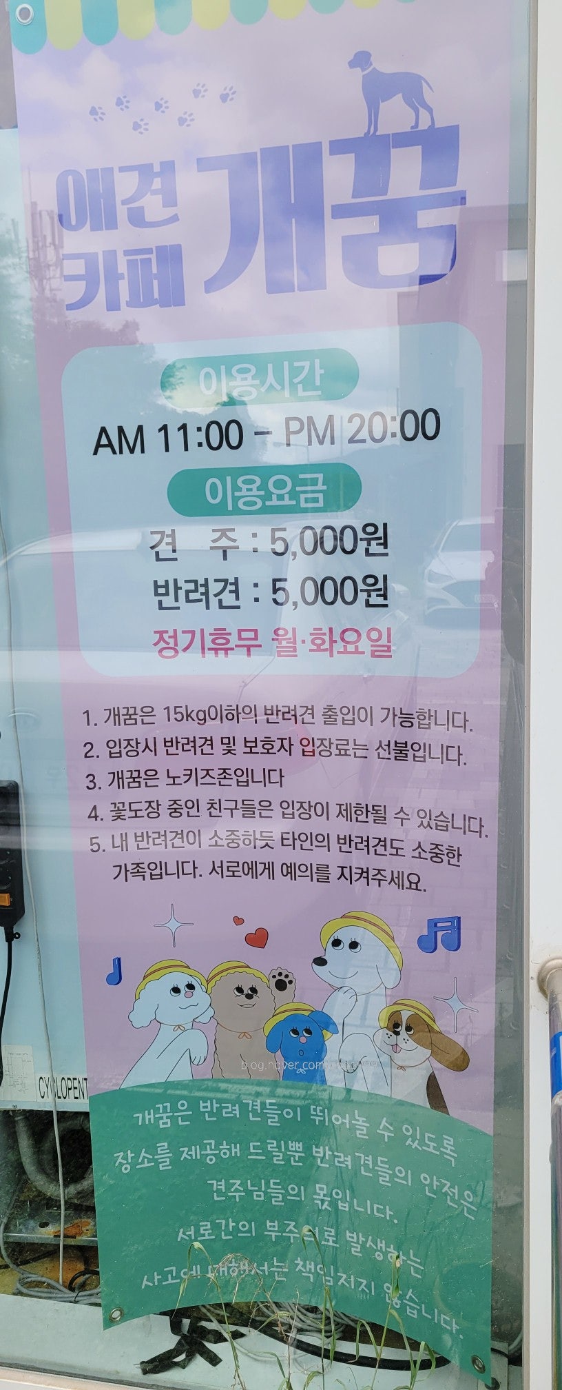 개꿈 사진 2