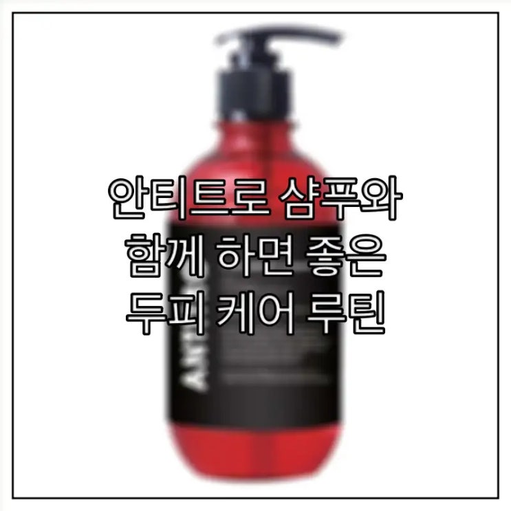  안티트로 샴푸와 함께 하면 좋은 두피 케어 루틴