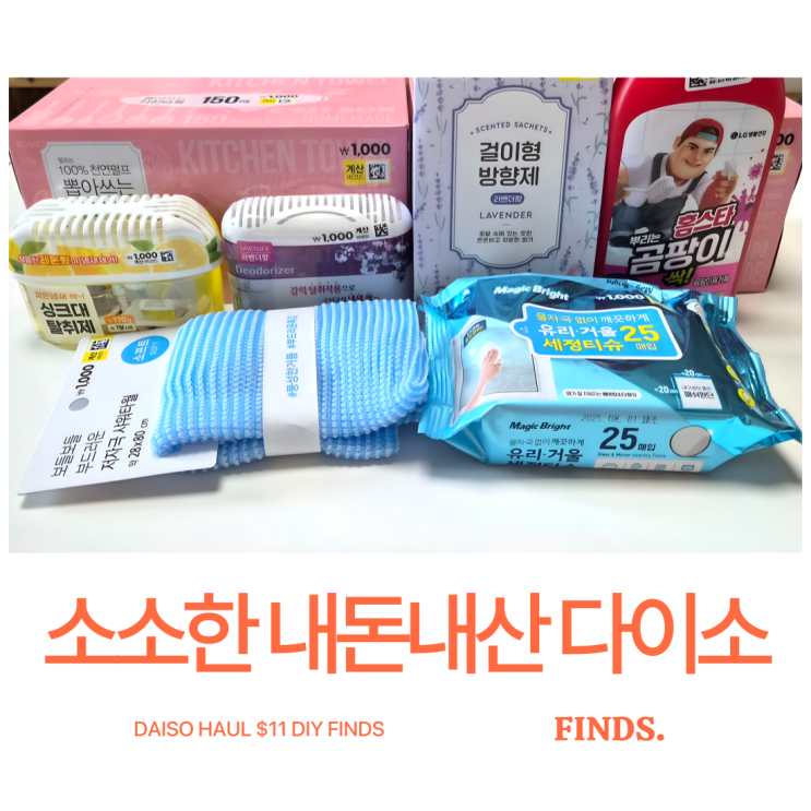  오늘도 지름신 강림! 11,000원 다이소 내돈내산 쇼핑 후기 