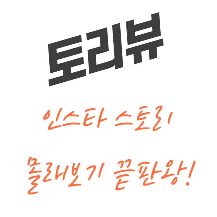  토리뷰 쓰면 다 됨! 인스타 스토리 몰래보기 끝판왕 등장