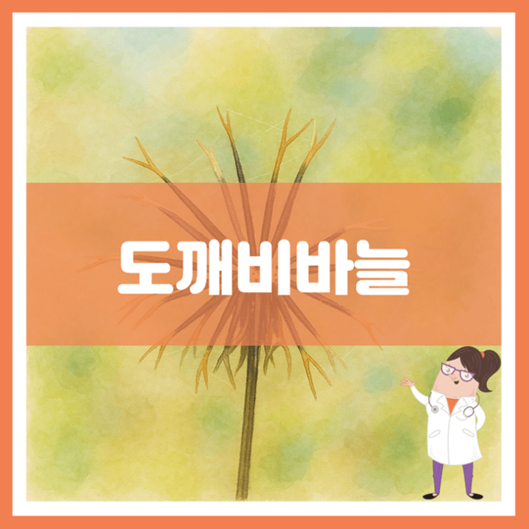  도깨비바늘 효능 부작용 먹는 방법