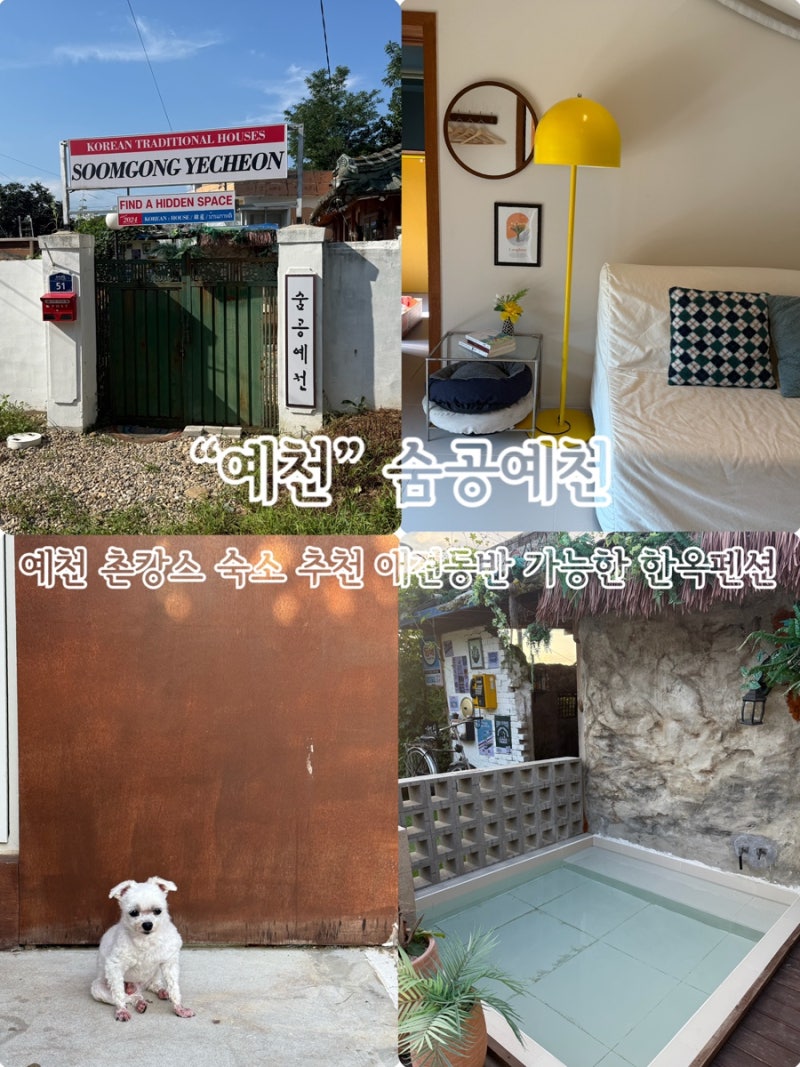 사진 3