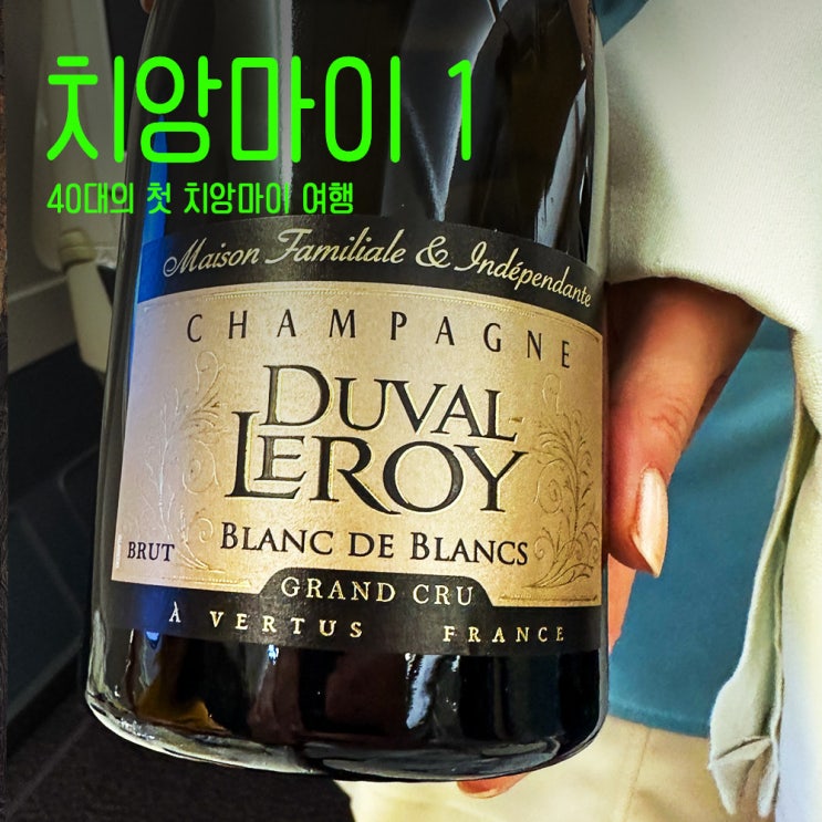  40대태국치앙마이여행 첫번째 치앙마이 여행의 시작 1