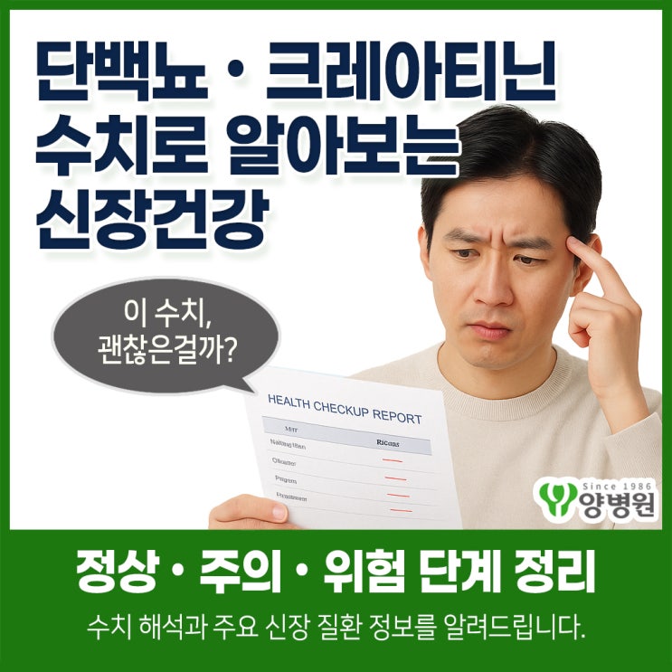  단백뇨·크레아티닌 수치로 알아보는 신장 건강 | 서울 강동구 건강검진