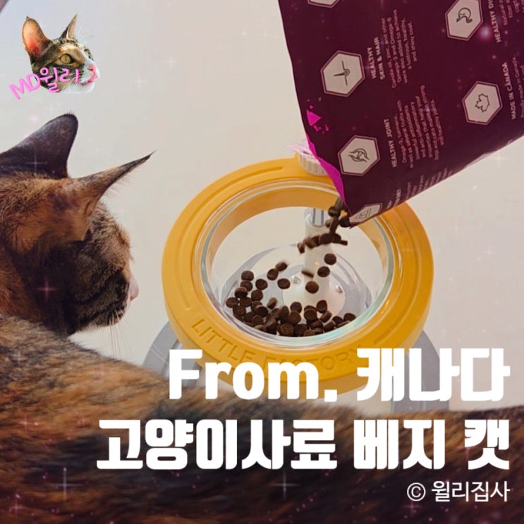 캐나다 고양이사료 추천 베지캣 닭고기 고구마 피쉬 포뮬러