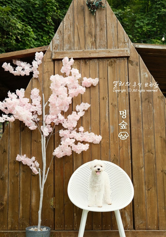 사진 3