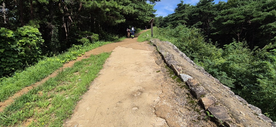 가래산 사진 6