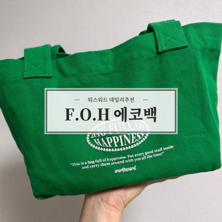  20대 여성 데일리백 추천 워스워드 F.O.H 숄더 토트 미니 에코백 그린 솔직 후기