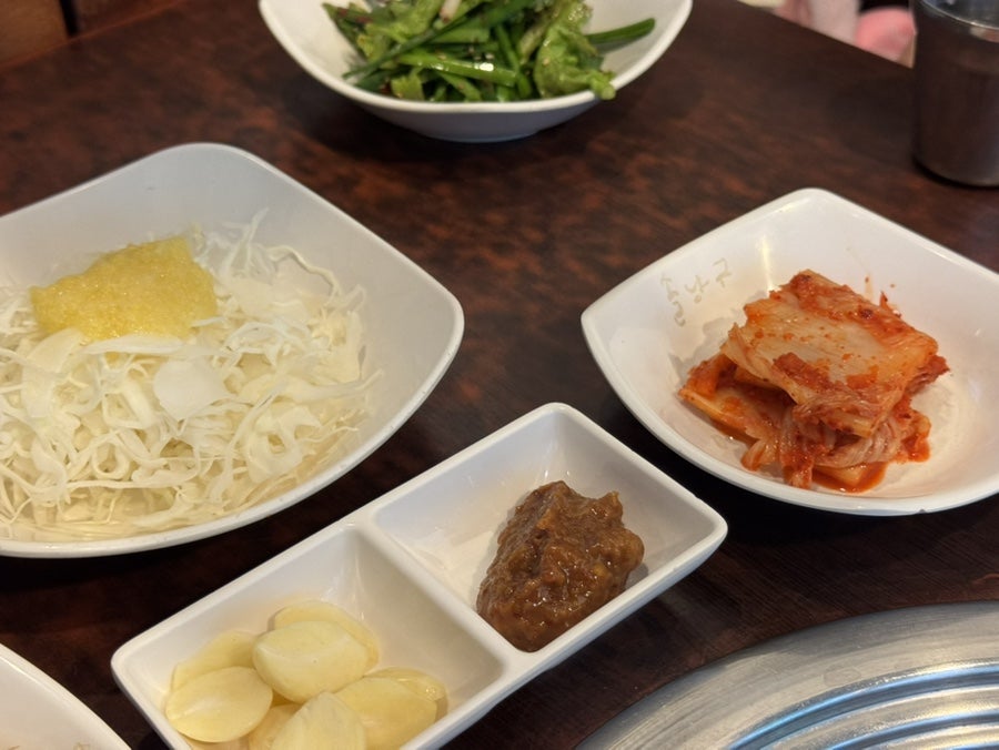 솔낭구 사진 4