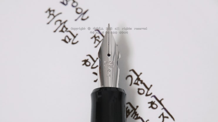  “조금만 한눈을 팔아도” (만년필로 필사하는 명구절 ️파이롯트 912 FA닙)