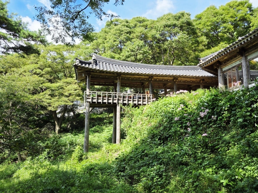 도곡지 사진 3