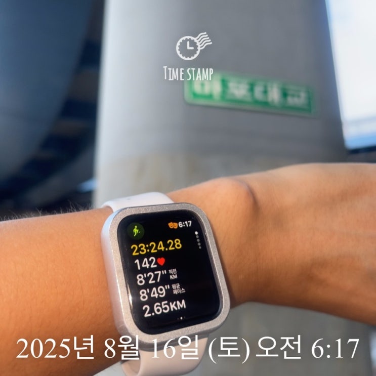 새벽단 / 광복절 다음날의 아침 달린다 오늘도