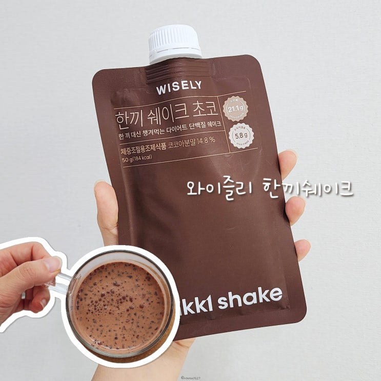  가성비 단백질 쉐이크 와이즐리 초코 파우치 후기