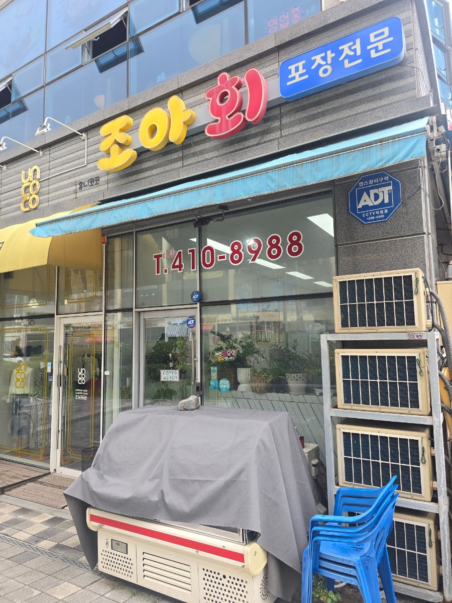조아회 사진 1