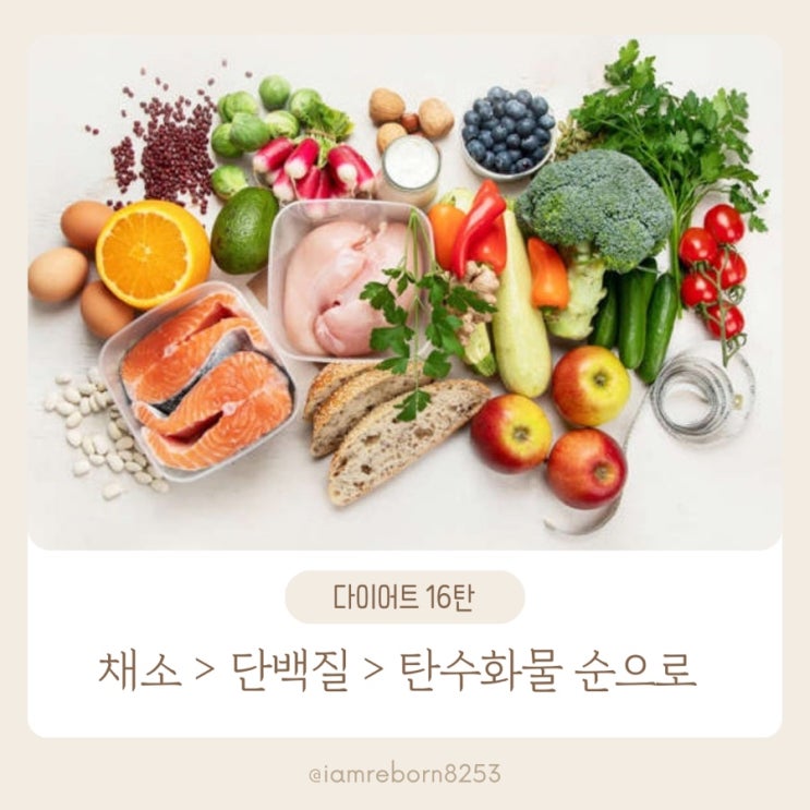  [다이어트 16탄] 체지방 감량에 도움이 되는 식사 순서