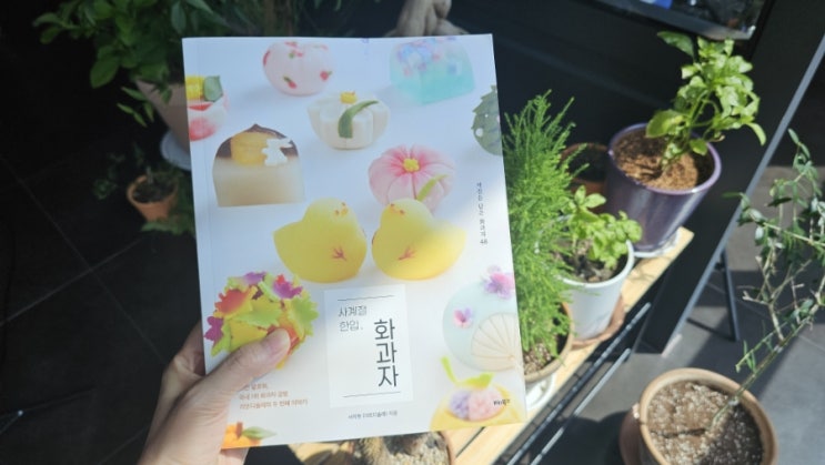 '사계절 한입 화과자' 서평 사계절을 한입에 예술이 되는 디저트