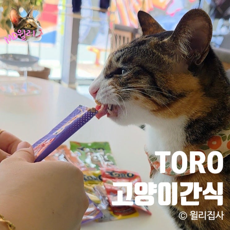  고양이간식 추천 토로 츄르 통살 필렛까지
