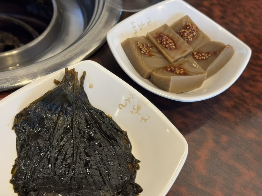 솔낭구 사진 5