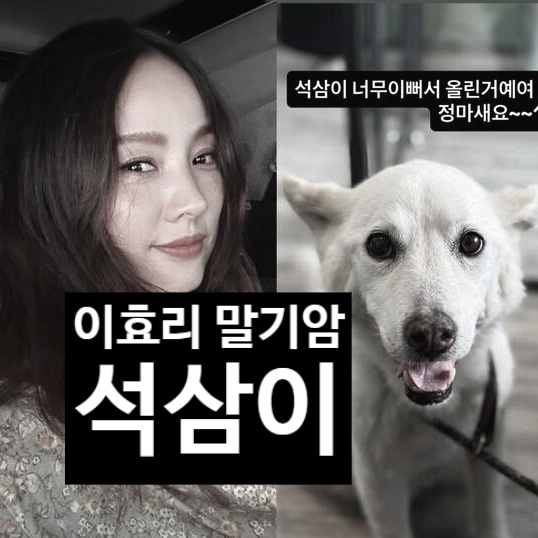  이효리 말기암 이별 원통 사연! 석삼이 눈물에 오열ㅠ 방송 중단!?