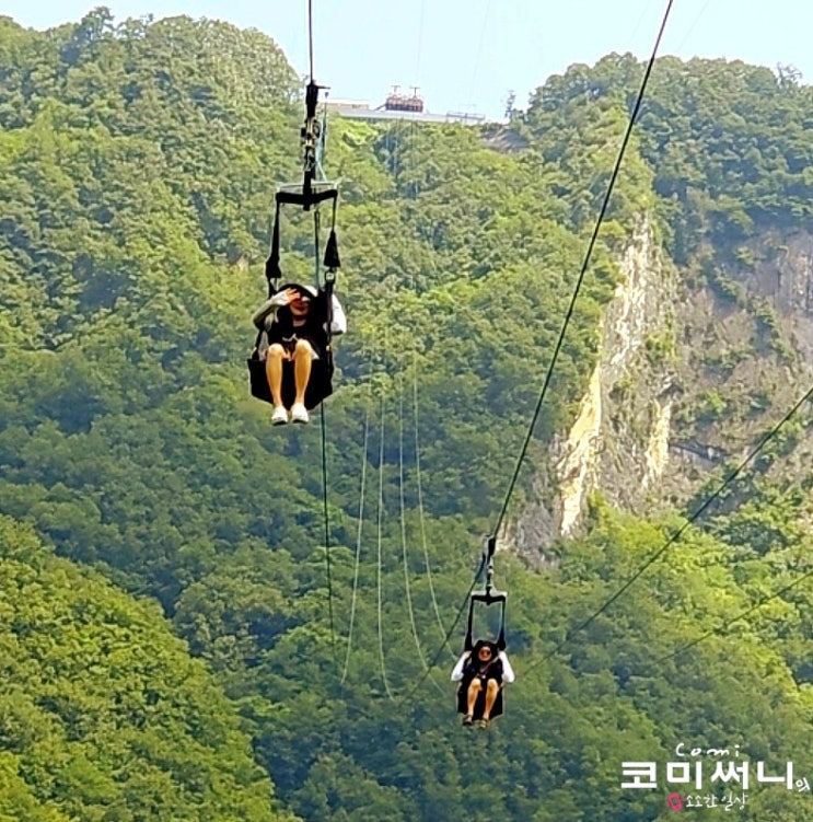  [강원도 정선 놀거리] 병방치 짚와이어&병방치 전망대 스카이워크 익사이팅한 짚와이어 체험 후기