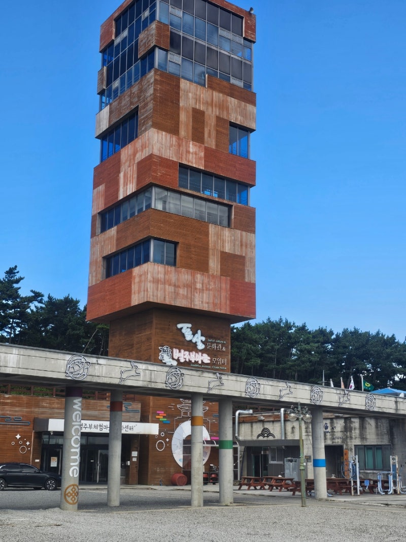 태안 별주부 마을 독살체험 후기! 우럭잡는법,준비물까지