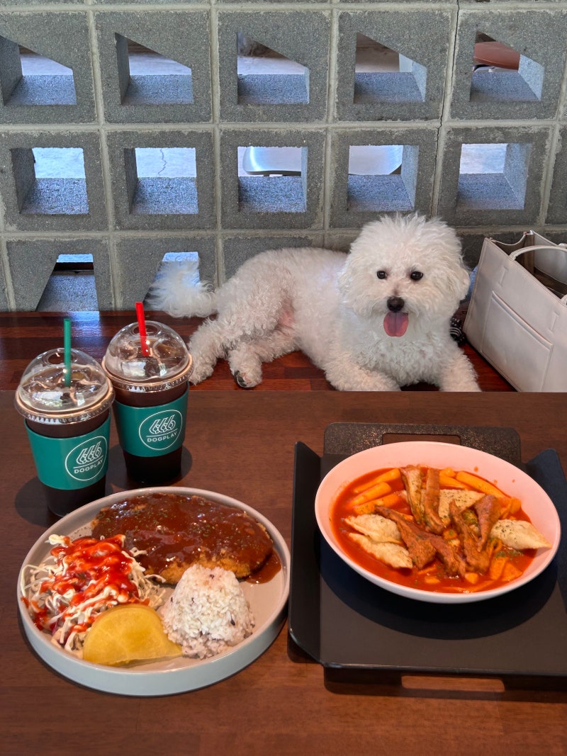 사진 4