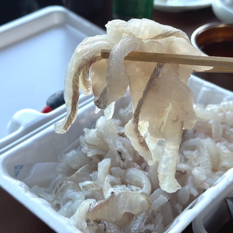  경주감포횟집 태운수산 푸짐한 회 포장 후기