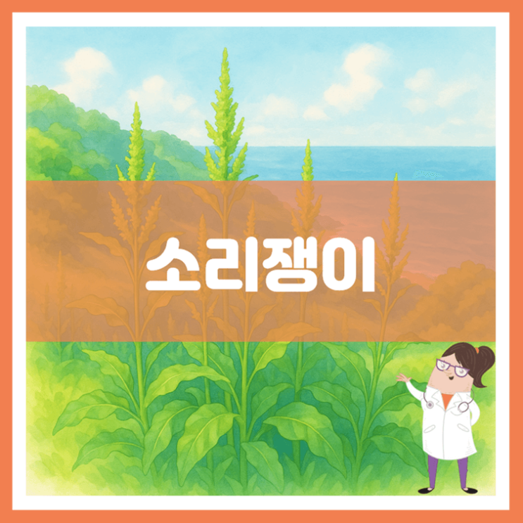  소리쟁이 효능 부작용 먹는 방법