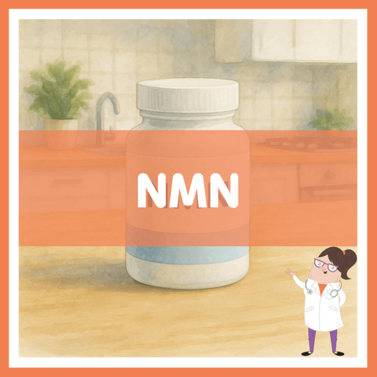  NMN 효능 섭취방법 부작용
