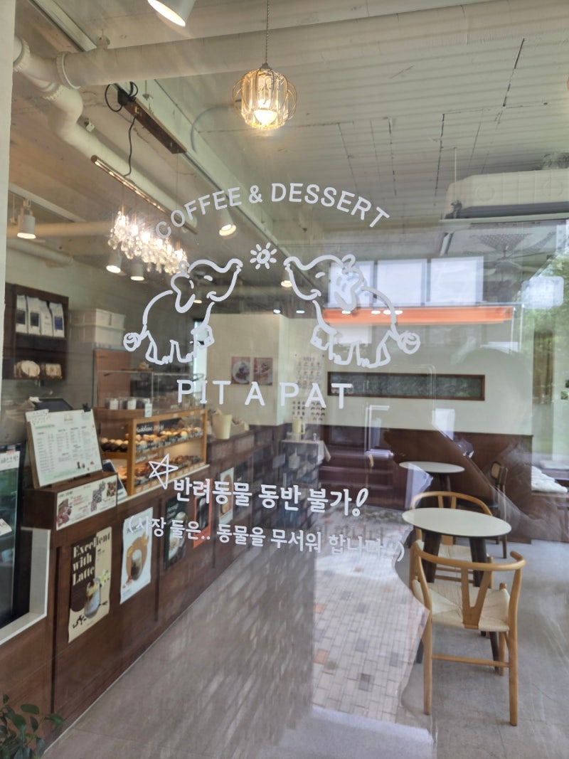 사진 8