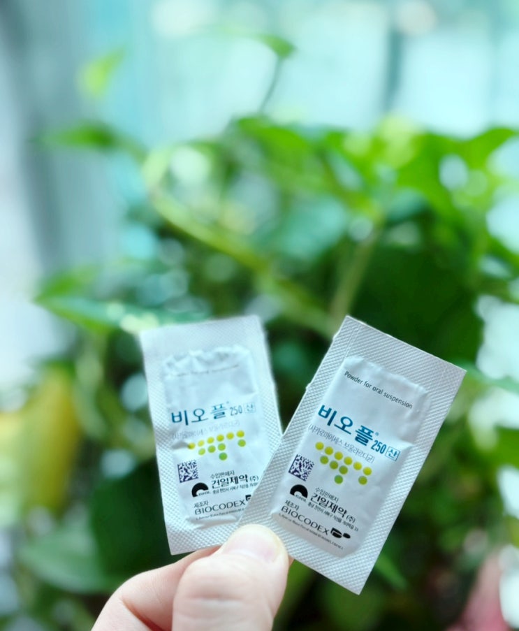  비오플250산 복용법 효능, 아기와 설사 관련 총정리