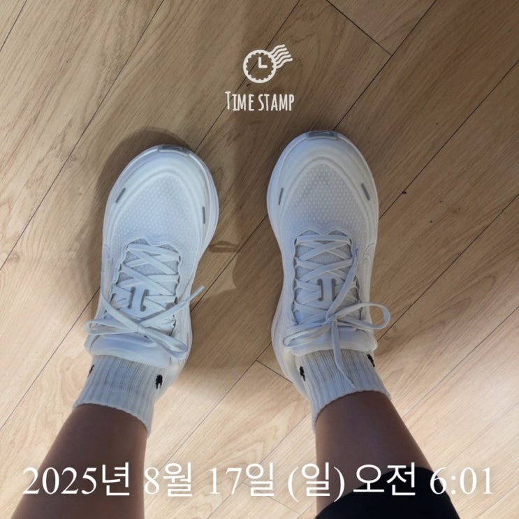  어쩌자고 거기까지 간거니 feat 새벽단 달리기~