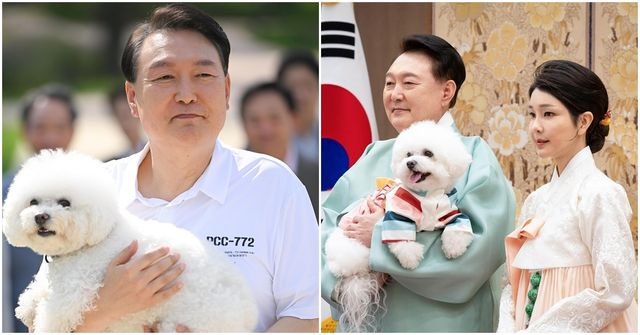  윤 전 대통령 사저에 남겨진 '주인 잃은' 반려동물 11마리…누가 돌보나
