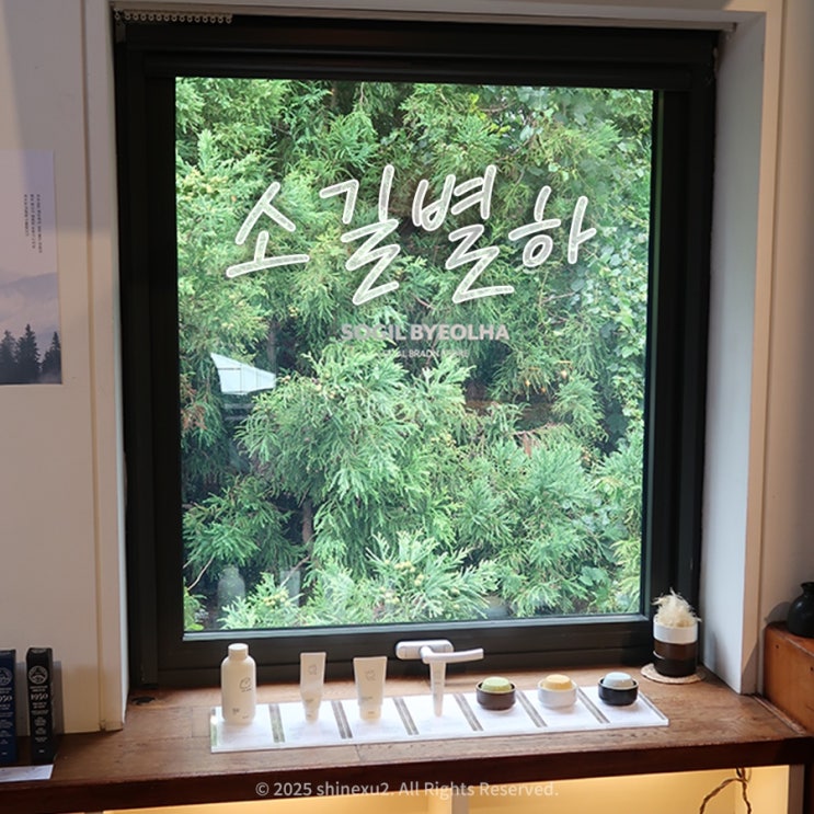  휴가 기록, 제주도 애월 여행 브랜드스토어로 변한 효리네민박 소길별하
