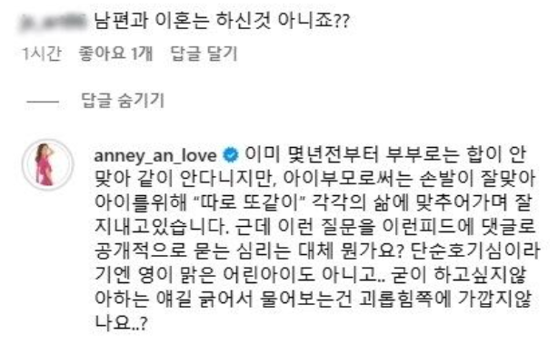  안선영, 이혼 질문에 솔직 답변…“부부로는 합 안 맞아, 아이 부모로서는 함께” 
