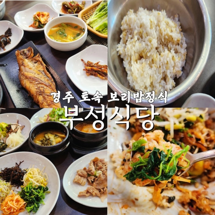  경주 보리밥 맛집 부성식당 | 블루리본 12개 받은 토속보리밥 정식