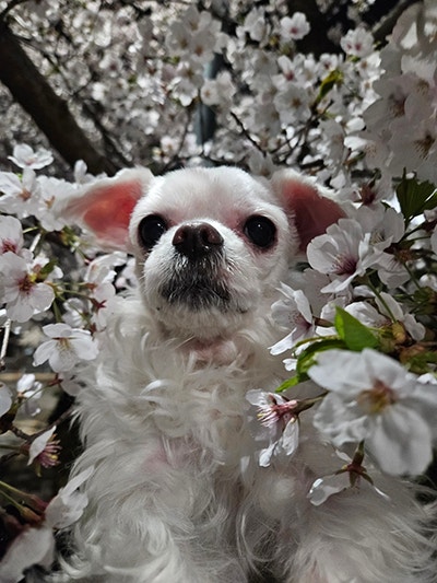 사진 3