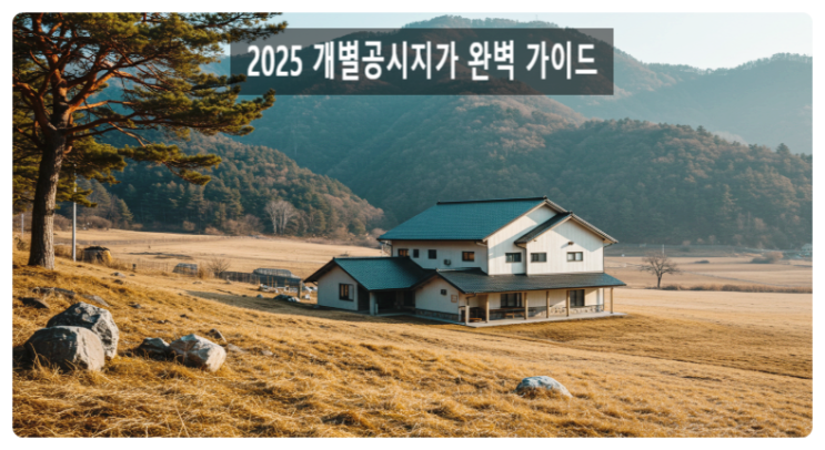  2025 개별공시지가 완벽 가이드 | 조회 방법부터 세금·거래 활용까지
