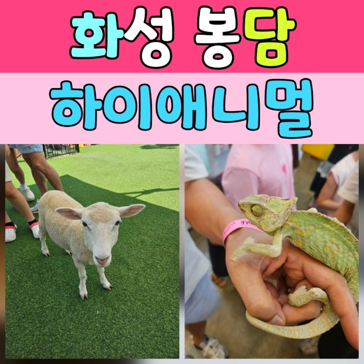  경기도 실내동물원 추천! 아이들과 함께한 하이애니멀 방문기
