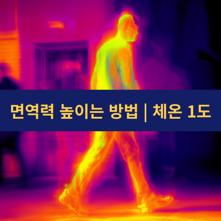  면역력 높이는 방법 | 체온 1도가 결정하는 우리 몸의 방어선