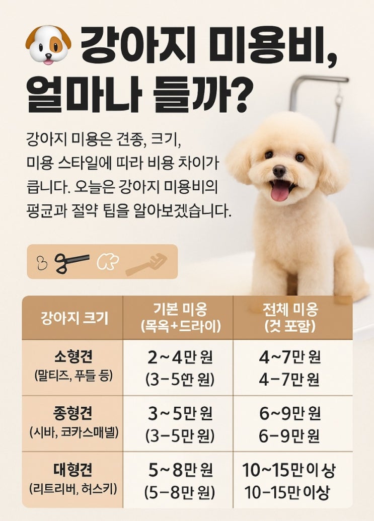  강아지 미용비 비교, 연간 비용 얼마나? 절약하는 방법