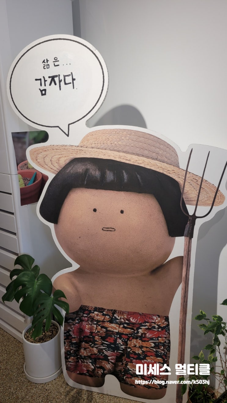  강릉 현지인이 바라본 (삶은 감자) 굿즈샵