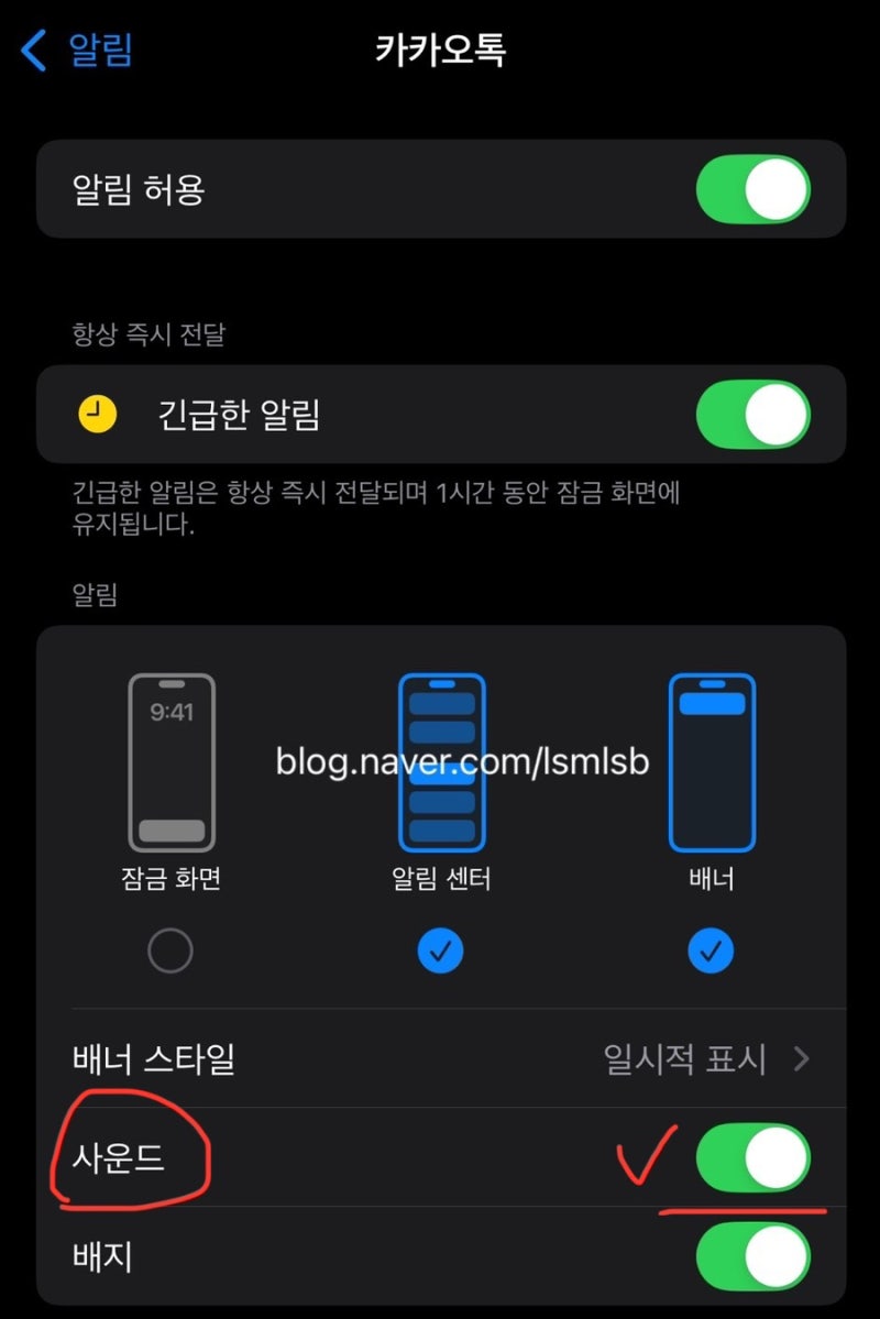 애플워치에서 카카오톡 알림 진동만 안올때 확인해보세요!