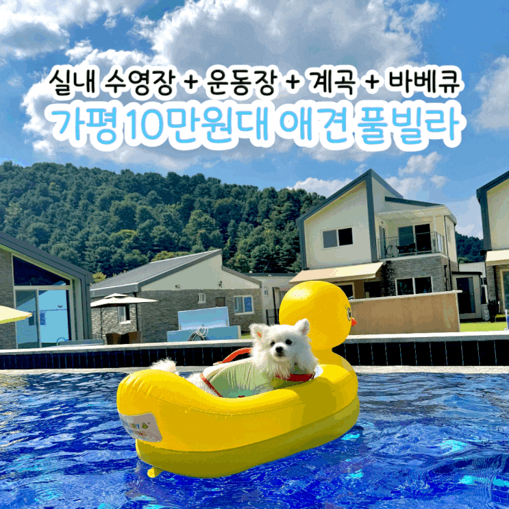  가평 실내 수영장 계곡 바베큐 테라스 모두 있는 바비애견풀빌라