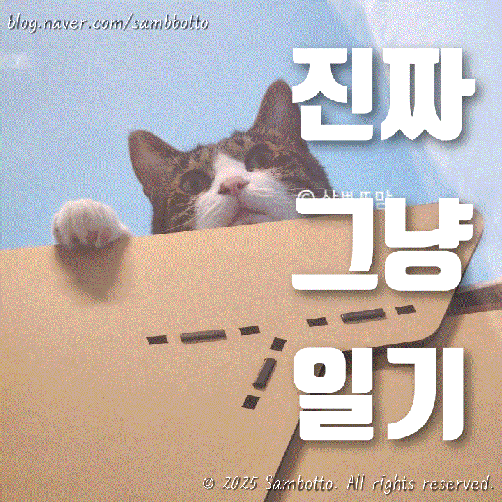  진짜 그냥 일기 | 월, 화의 기록. 계란 두개 연속 쌍란 발견!!, 스타벅스 신상 로스티드 마카다미아 라떼 마시기, 직장인 일상