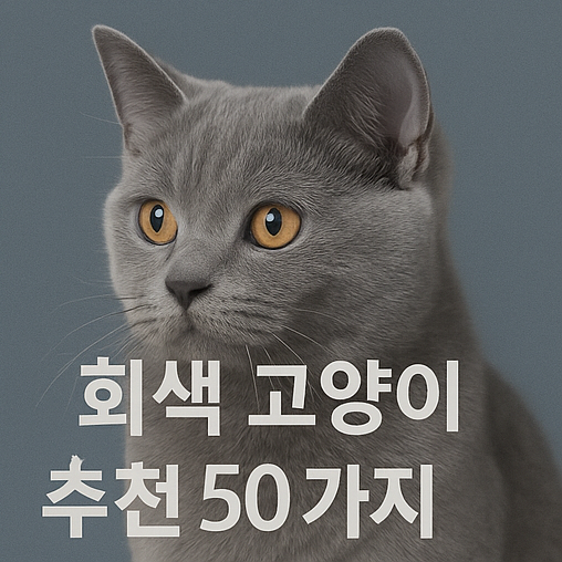  회색 고양이 이름 추천 남자여자 성별 100가지