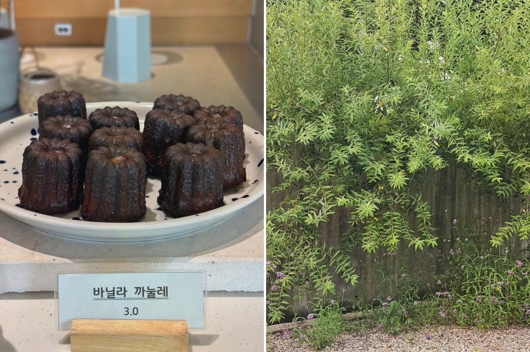 이천 카페, 건강한 디저트와 편안한 분위기, 카페더엠 이천본점