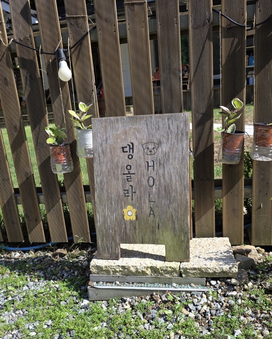 댕올라 사진 6