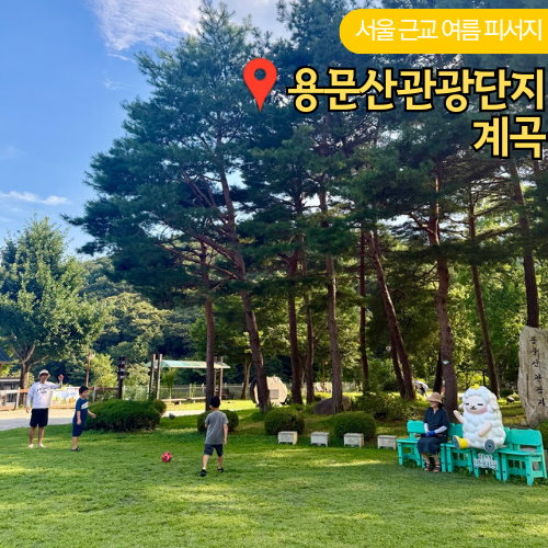  양평 용문산 계곡 관광단지 주차장 요금 은행나무길 아이와 물놀이